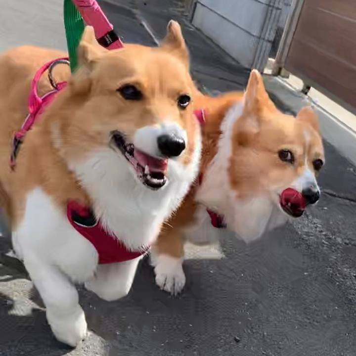 4ef1912f 00b9 408a 9109 437ce4f6e1d6 1647489252688