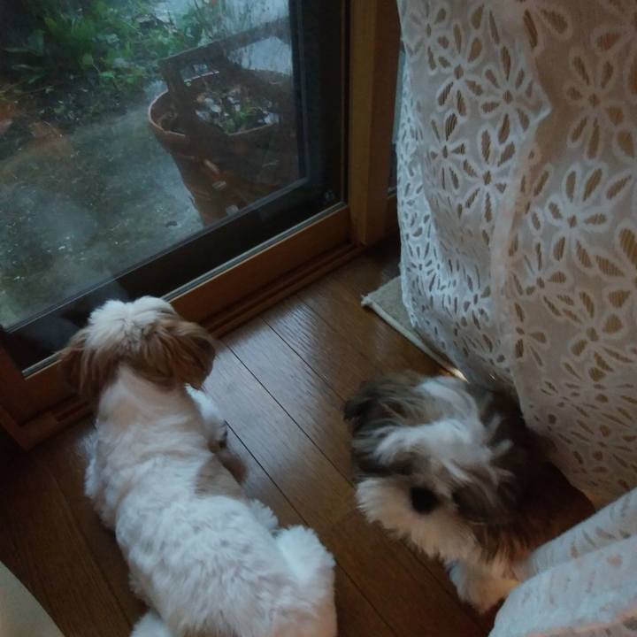 4ef195df 2a87 4432 8af1 4a4b96f05fe3 1536050275819