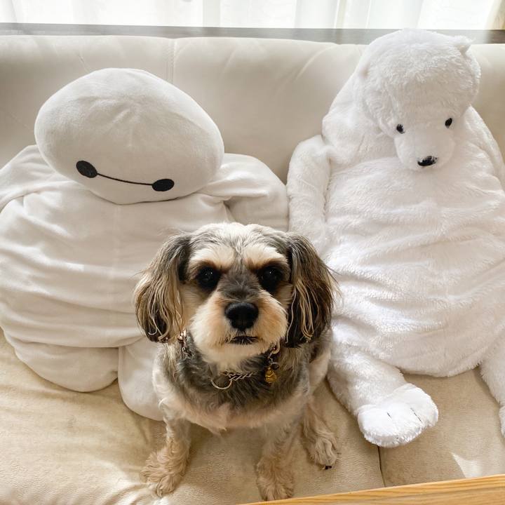 4ef1b9c0 7398 48e1 a999 5e2fa5de8ba7 1663979479806