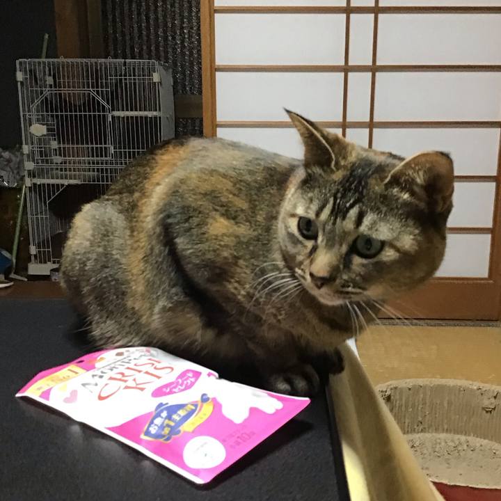 4ef1d118 f509 4138 8f2e 137ade8002fc 1706782763656