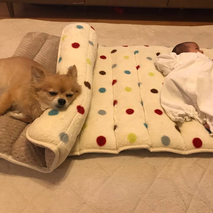 4ef1e56c 0a41 47ce 8ff1 b6f5d4047494 1511180764294