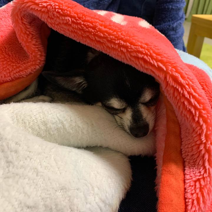 4ef1e8b5 e06c 4e07 85a5 a305a64643d5 1587976828087