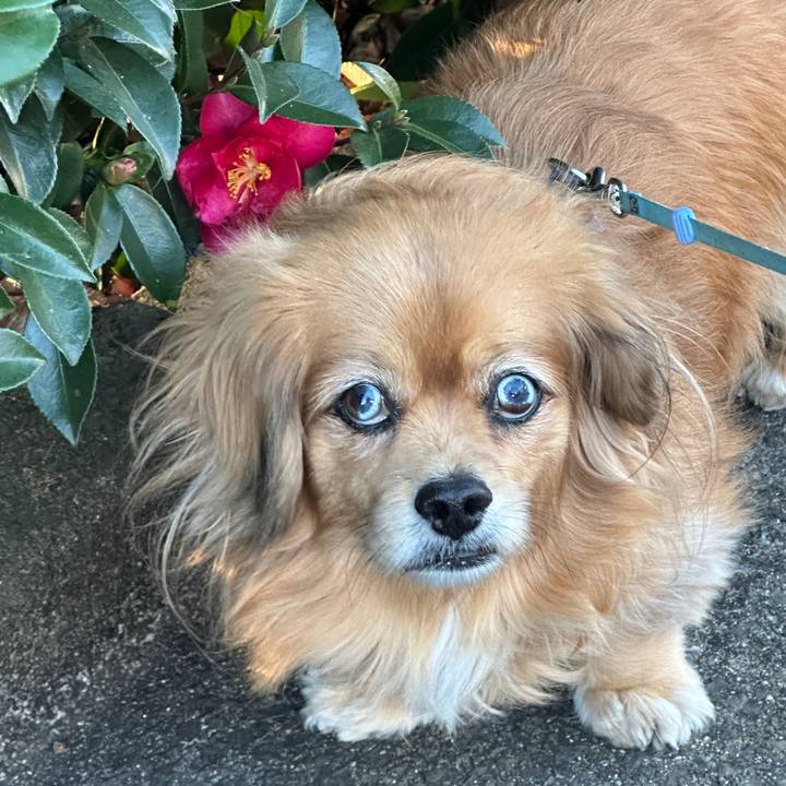 4ef2254e 0b24 414e bd6e 21c5ed00e226 1737853200695