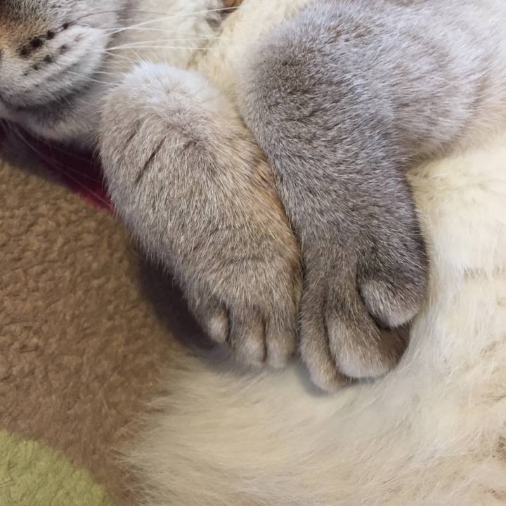 4ef24a13 c67b 496f a6a9 3a6c8c8737c8 1554290811750