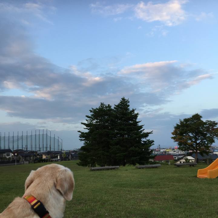 4ef2944a 12a0 463b b132 a24ef7cfee69 1535190537719