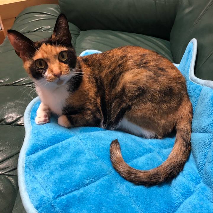 4ef2dbee 1bb1 4563 8120 279fbfb796a6 1561638502923