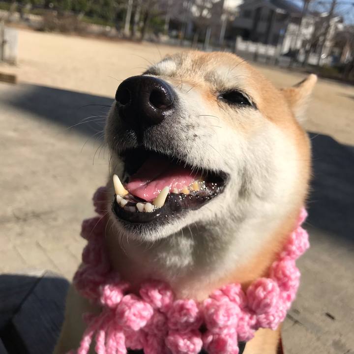 4ef2e18d a403 4d12 ad2b b5f667df0733 1547699260718