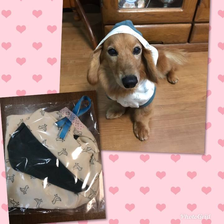 4ef33aa4 20ee 45f0 bab7 6b2ad3b0fe2c 1562405184420