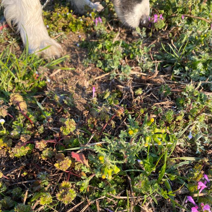 4ef35277 c125 4715 aad6 7fe5c2daf1b3 1614208846517