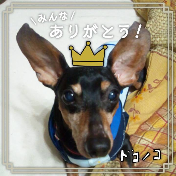 4ef3a322 8439 4833 bda0 75059f9ad0bf 1622953916271