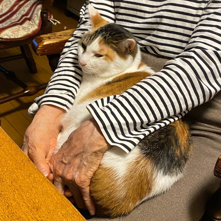 4ef3c56f 0a3f 4ebb 82d4 61ea1586845e 1771846776375