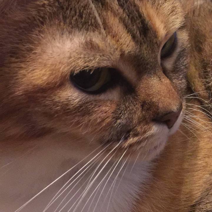 4ef3de41 2b9a 4b5b a694 37961843a643 1573648445952