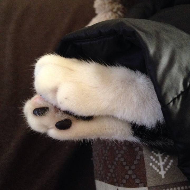 4ef40eac 33f3 42fb 8939 966ba6cd2ecd 1513308799979