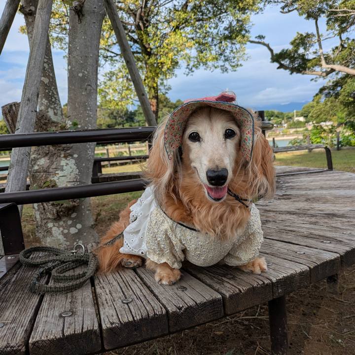 4ef413a9 802d 4e7b a646 3131d46af082 1760397649858