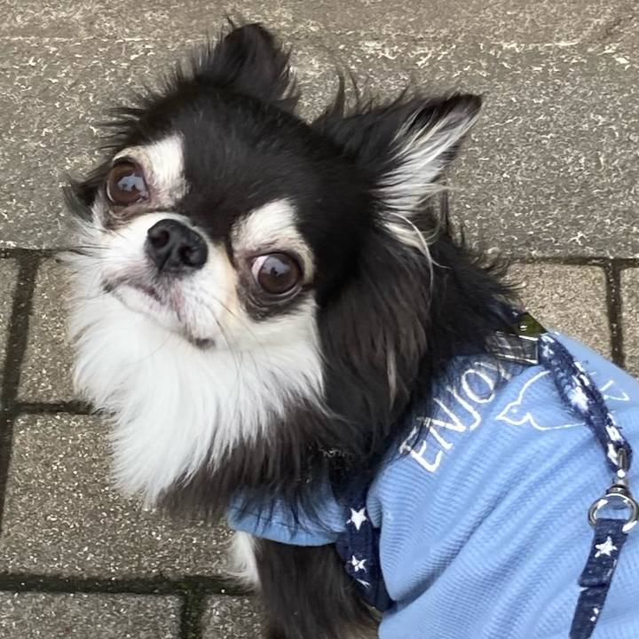 4ef4325c e188 408d 867f 1ed142e0320a 1652611010257