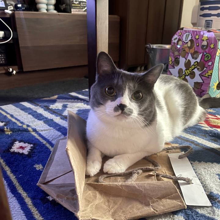 4ef4466b 7435 41f3 a498 d689eccb8d10 1688505847684