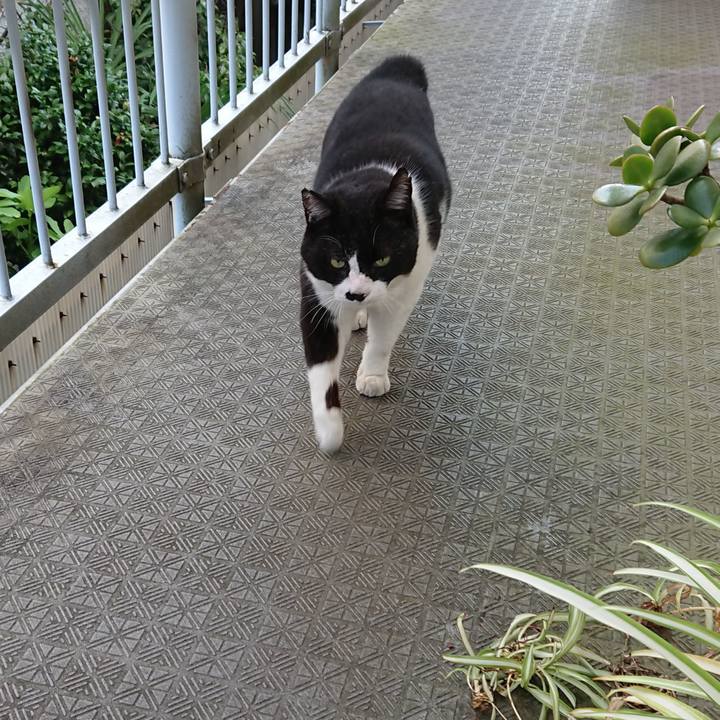 4ef446e0 7b86 4e5b a929 785785e0e30b 1626992705811