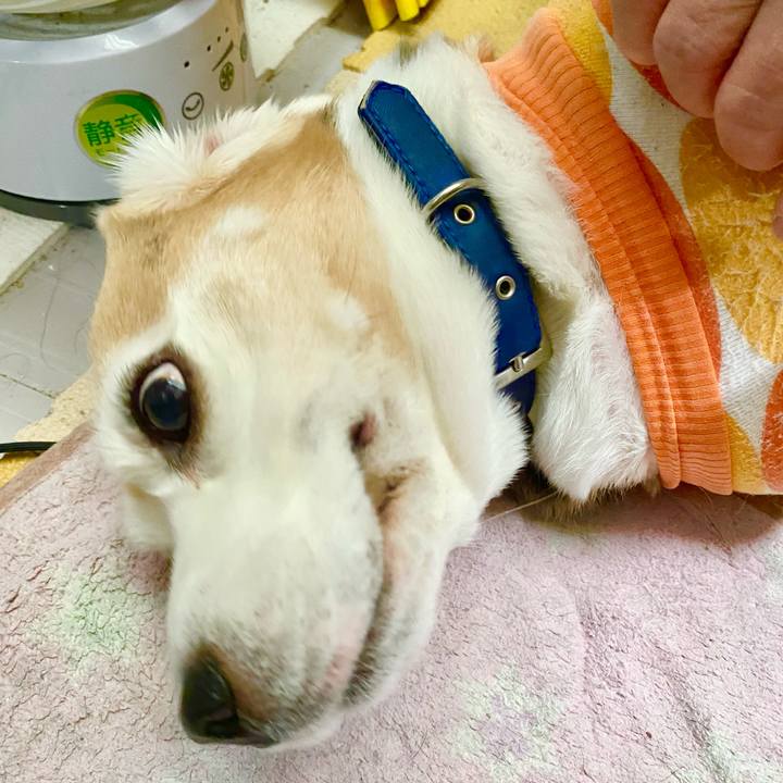 4ef45518 fedc 45ca b643 3b8107141b98 1772002518491