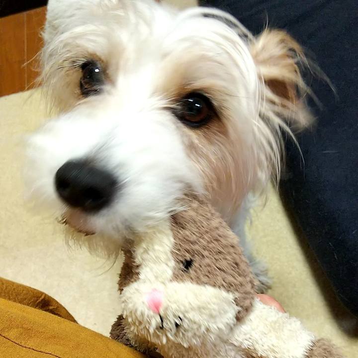 4ef48b8f f37a 4be1 9a99 914ddc99dafc 1560083475102