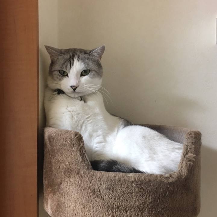 4ef5164c 903c 4434 98fa 449d65ee1faf 1514990521451