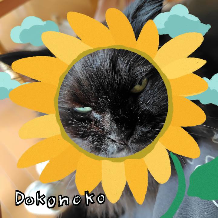 4ef537ba 9bd6 4bb5 a0b9 b9cfc27bb793 1723503280890