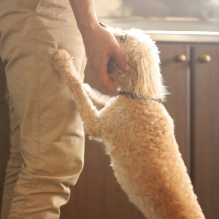 4ef55215 8288 4a12 862e 791be7237a7c 1629965623509