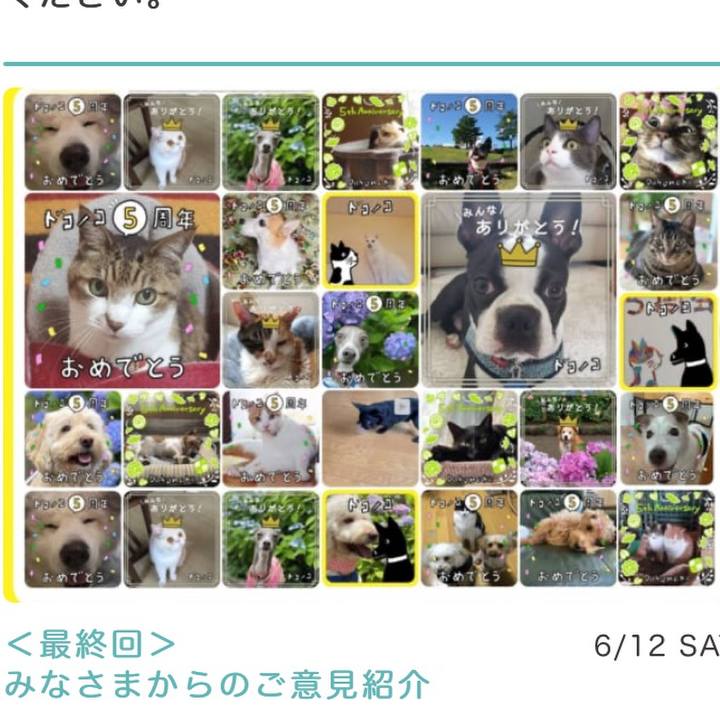 4ef55efd 4eec 495a 81cc 5ab648b0347a 1624522071626