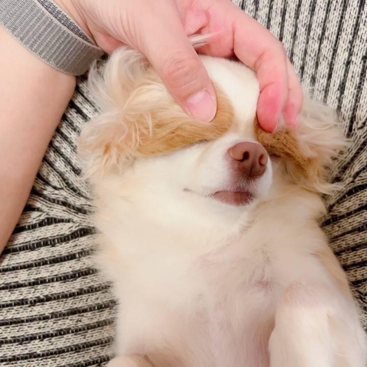 4ef57f05 4051 4e9d baea b4e87b550b3a 1721222554011