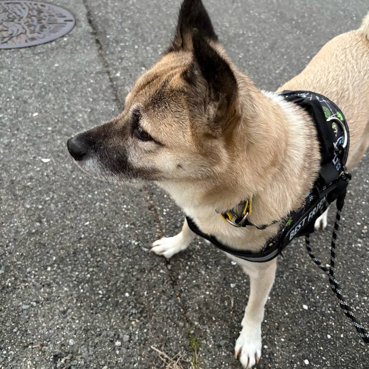 4ef58f33 2131 4548 97a7 2926fb2184e1 1733489590989