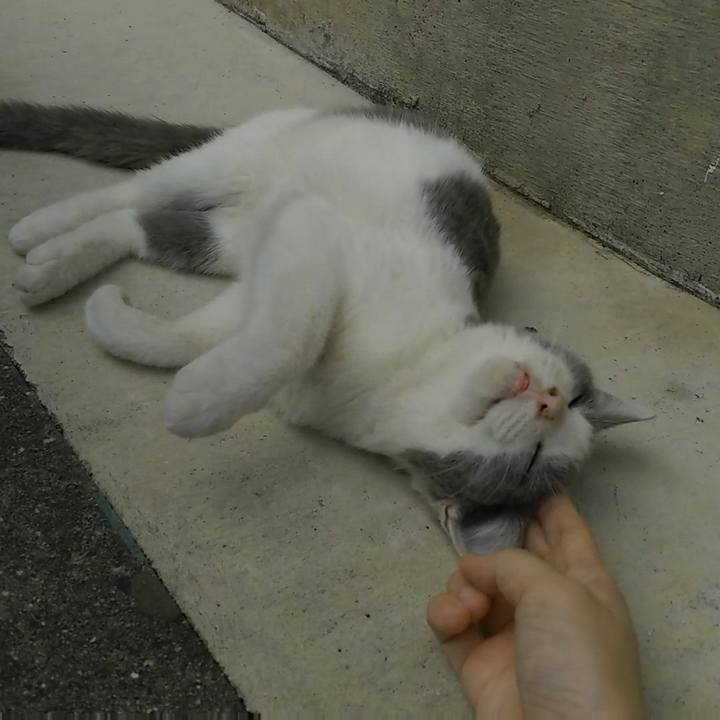 4ef596cc d69e 4385 beb0 eae19e0bf101 1513726561076