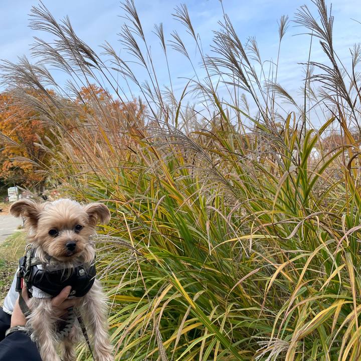 4ef59844 63ba 447e b61d 4e5d8f28a77e 1763949116374