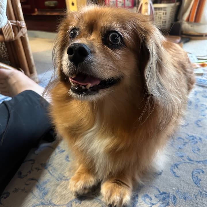 4ef59901 c4f1 4eaa 9d57 4107980b57bf 1759871830399