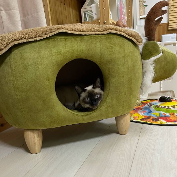 4ef5fb1b ee9c 462e 9f77 b42a27dbac68 1708806687414