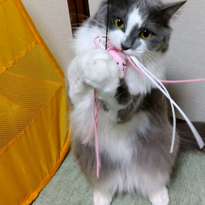 4ef60fec 5ac0 4304 9d27 b846b7ec8bdb 1605958357869