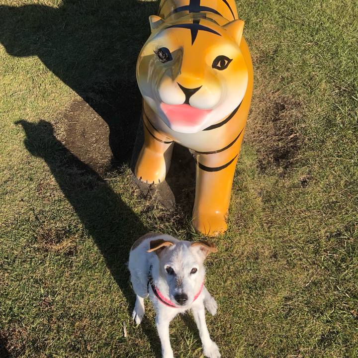 4ef67c60 53fd 494c 9c19 3d155e6fd2da 1640995969213