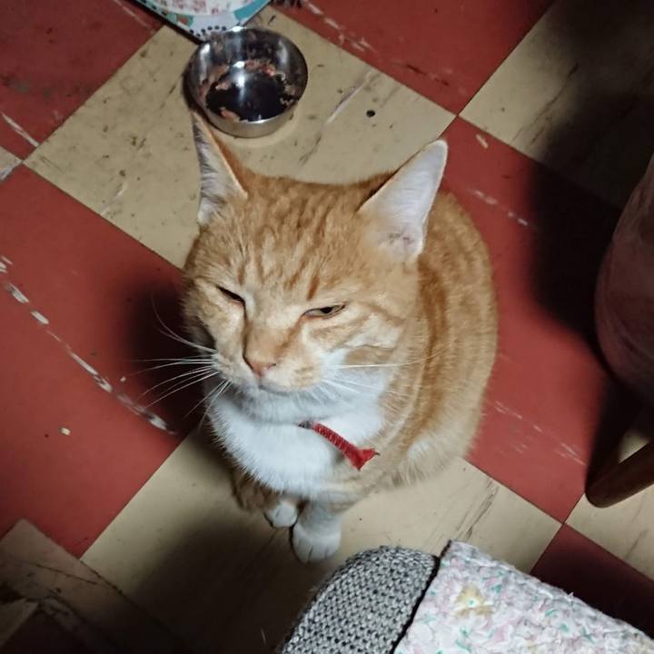 4ef68641 011e 4179 839b 70706650edb0 1574109109501