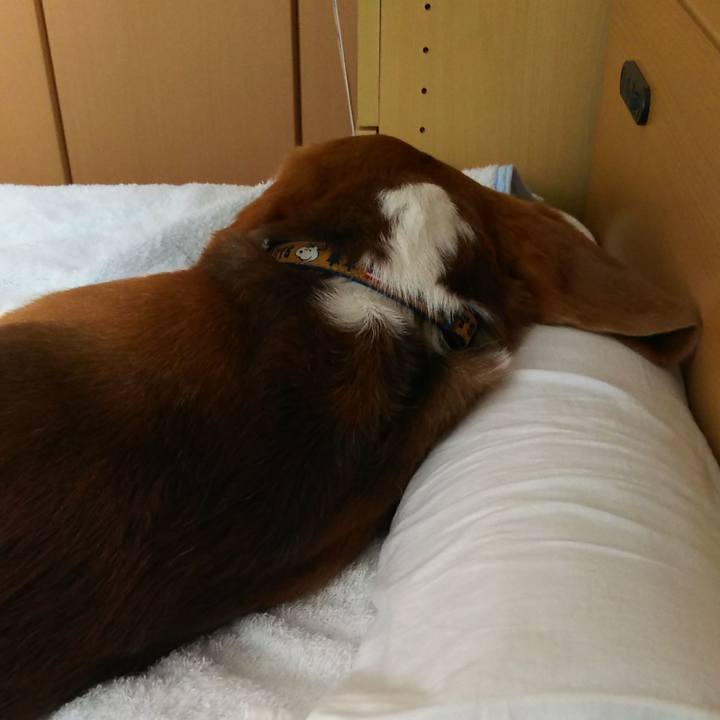 4ef690d0 4770 4044 831b b3771984a4a6 1594168915885