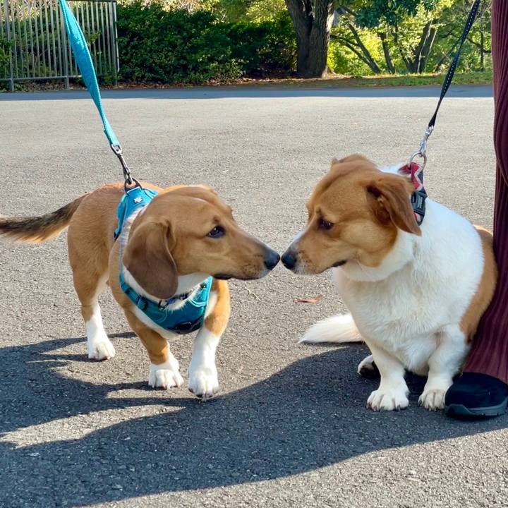 4ef6f3c3 da62 4be5 a9f2 249992354fc5 1667182340582