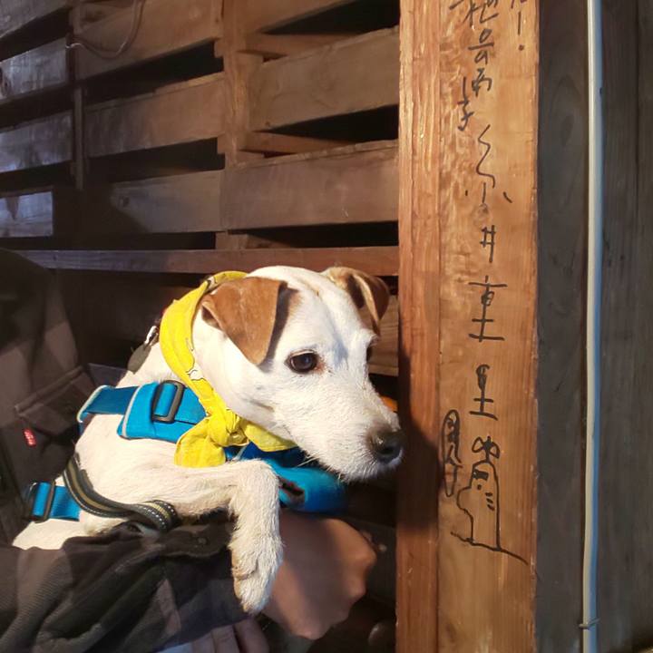 4ef78388 3d08 41a2 8cbd 0b3fa12e3f12 1576473222966