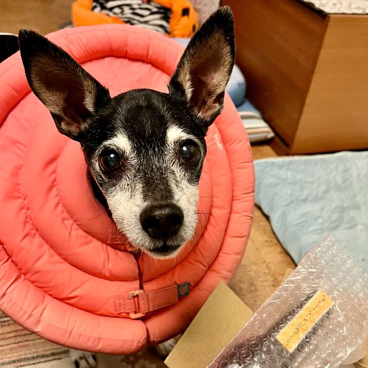 4ef79894 65fe 474b 90ae 925d76fd918e 1655293257241