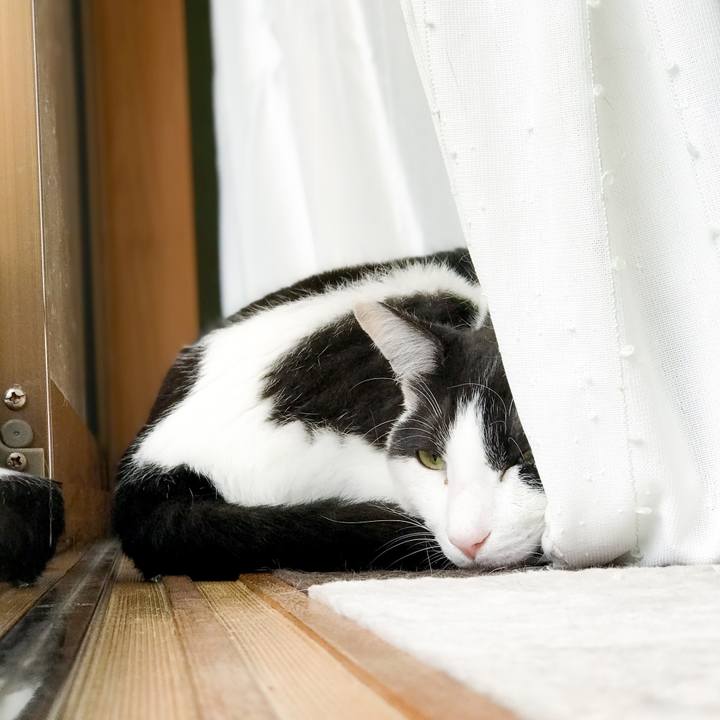 4ef7e6d5 8266 4826 8b3b be6ee6fb2fcd 1526263090438