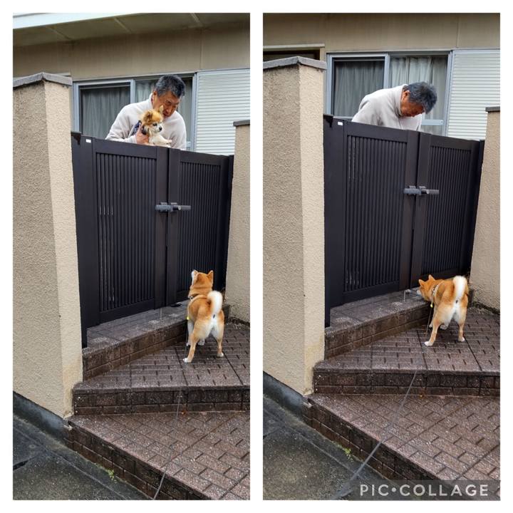 4ef7eecc fdc5 41ed a81c 3a8365027a02 1711411987858