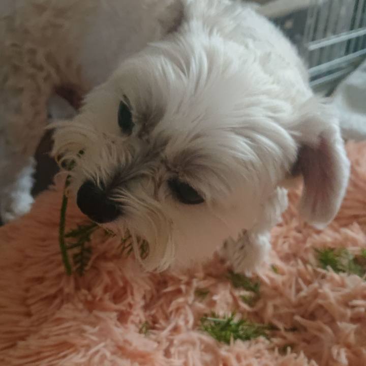 4ef7f01a 987f 4adf 8dfd fd424c06c938 1668049236458