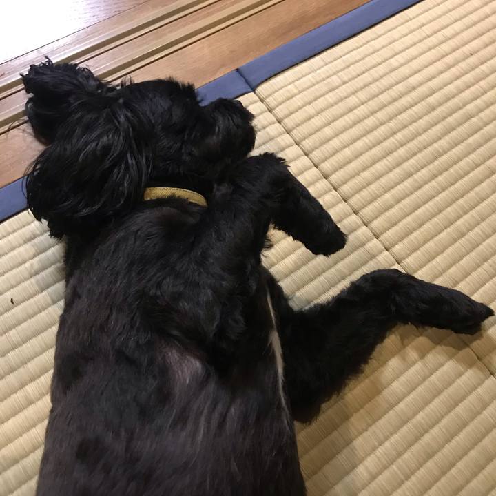 4ef81cb3 8d54 4c22 b0bb 00f944f578c4 1565421557801