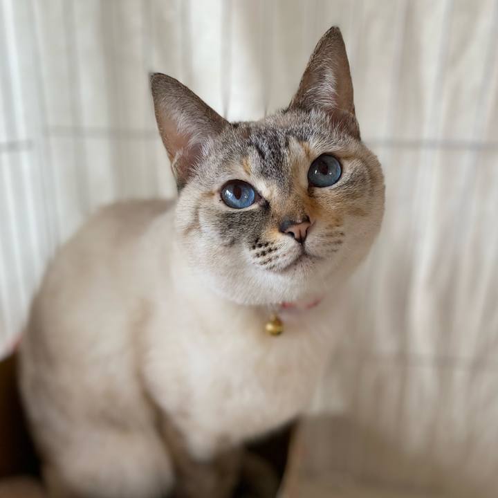 4ef83e8e b516 4dd4 8c2b 27d31d0696c5 1707011660506