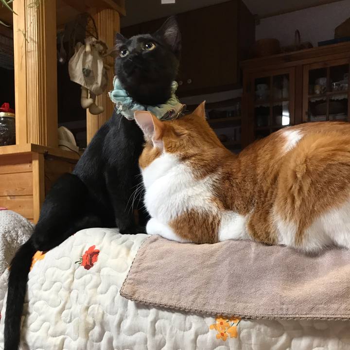 4ef85caa 5762 44e5 ba5c 74e293de482a 1567110978379