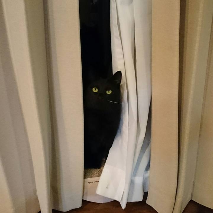 4ef85e1e d680 43be 840b 8a8d05c7d19b 1518395927174