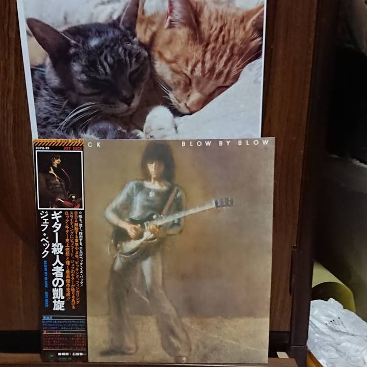 4ef8694c ed3b 4c9a a4f6 789d95d668f0 1603365367590