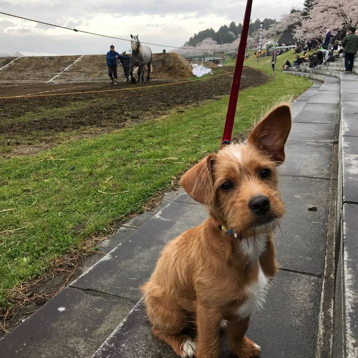 4ef89262 5cf1 4146 8c4e de842a7e1f95 1523754708502