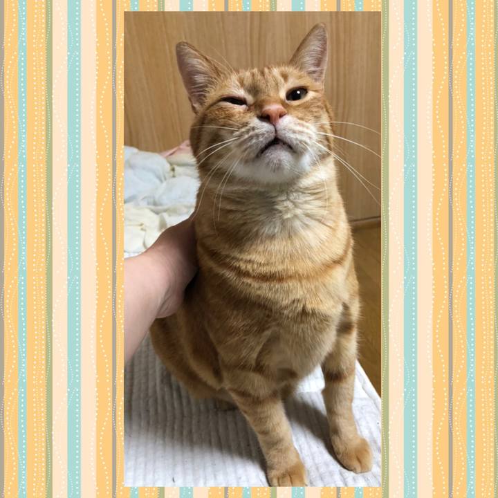 4ef894a2 b41c 4177 a00c f05287dafe7d 1645447986556